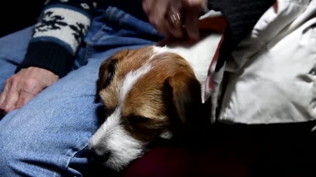 A Ukrainian family’s journey on the train to safety