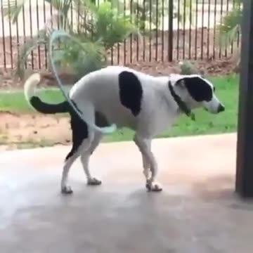 the world is strange