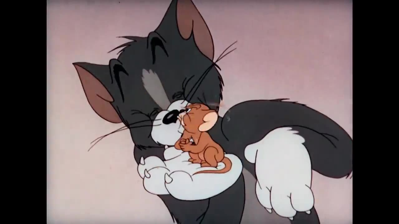 Tom & Jerry ❤️