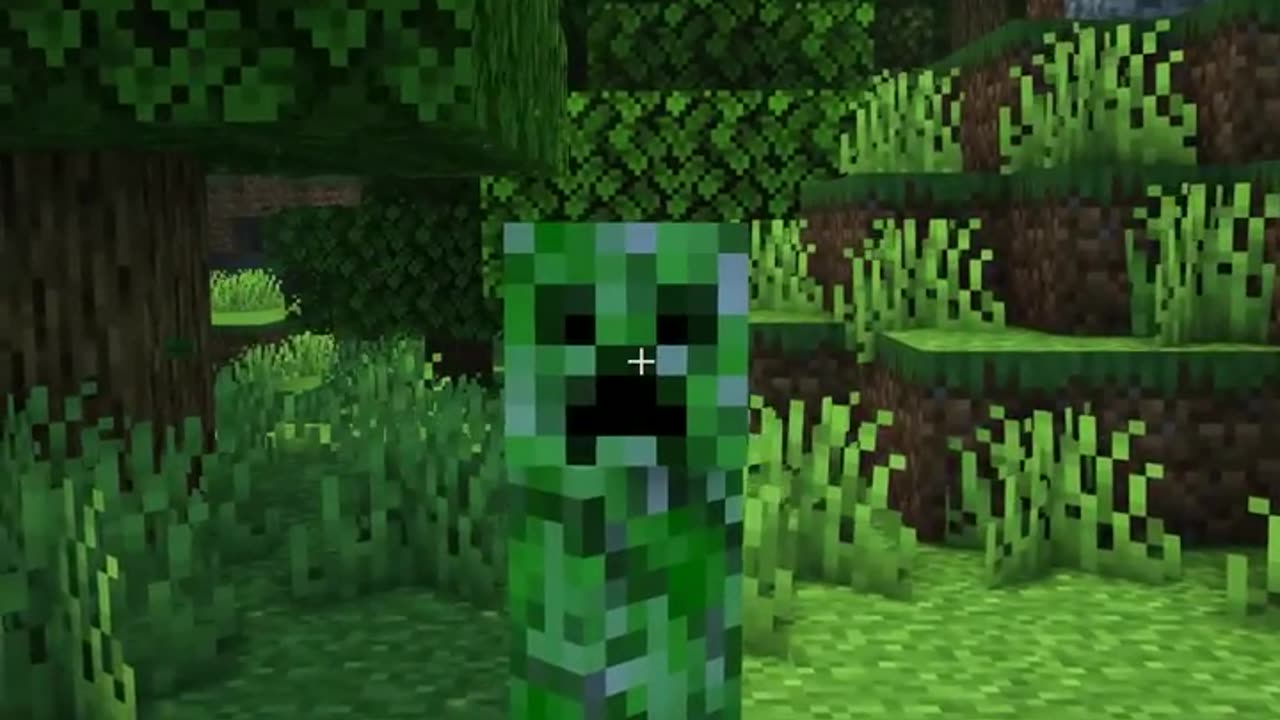 Minecraft When you DON'T fill the Creeper Holes...