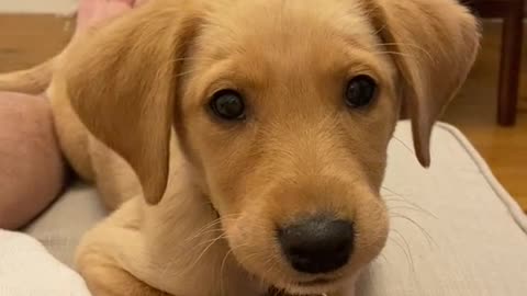 Mommy, food please im so hungry