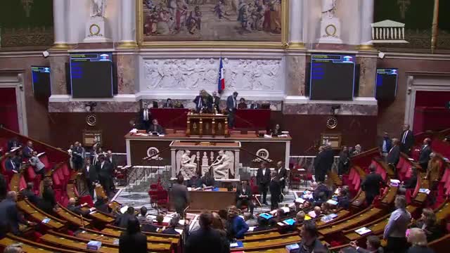 French far-right MP yelled at NUPES MP Carlos Martens Bilongo to "return to Africa"