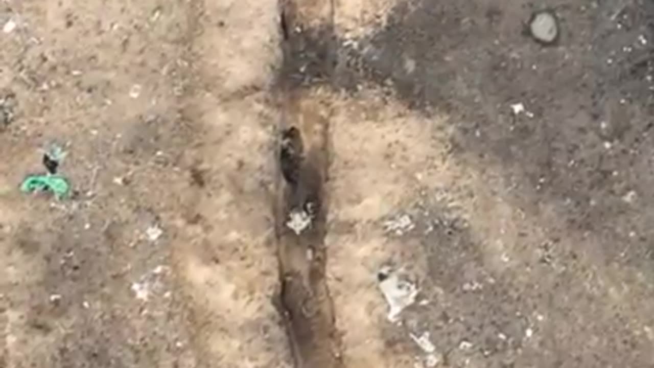 +18 Disturbing Video showing dead and wounded