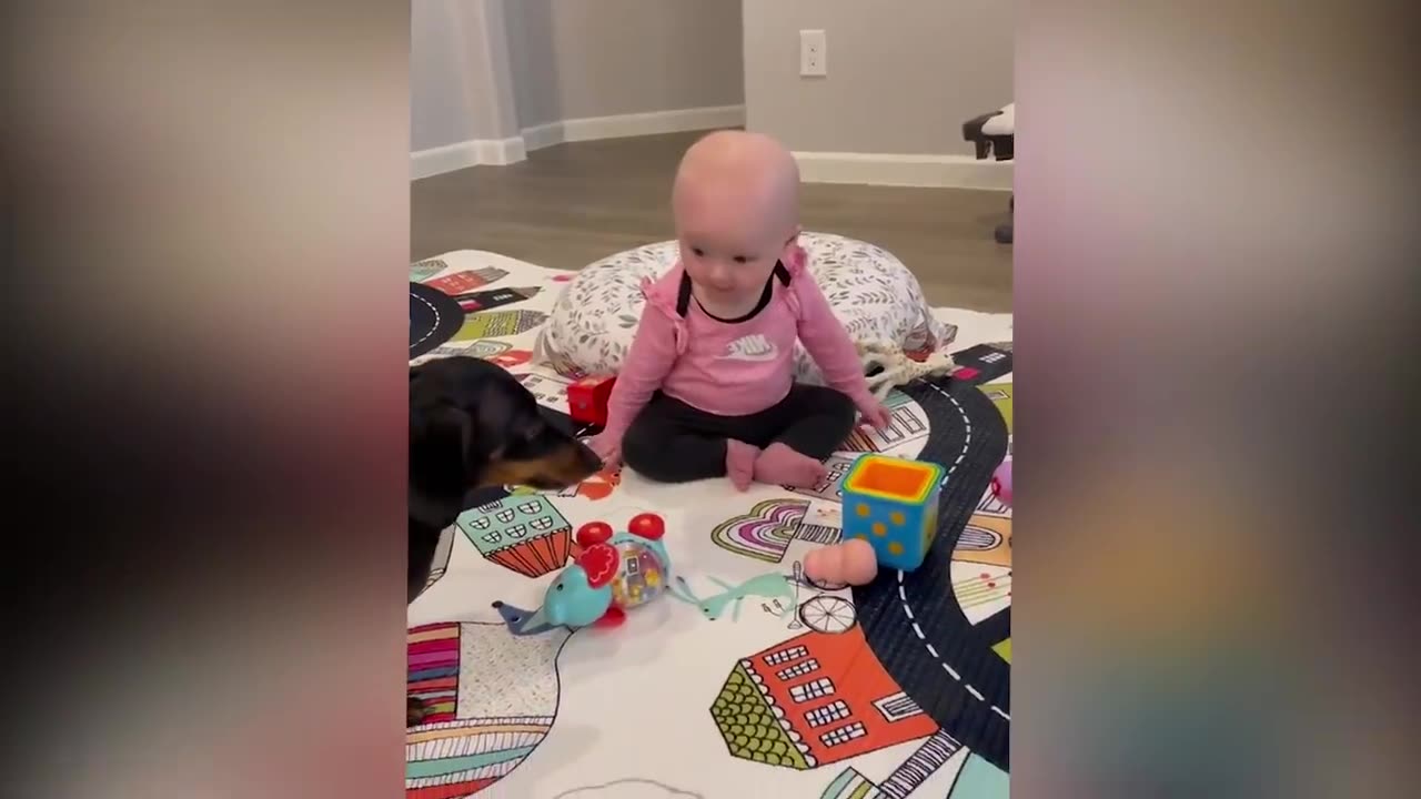 Cute babies playing with dogs