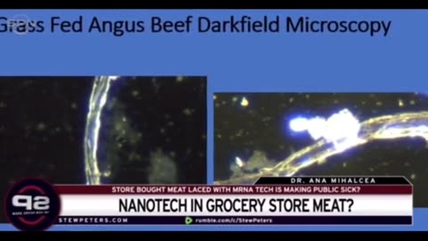 Nano Tech found in meat