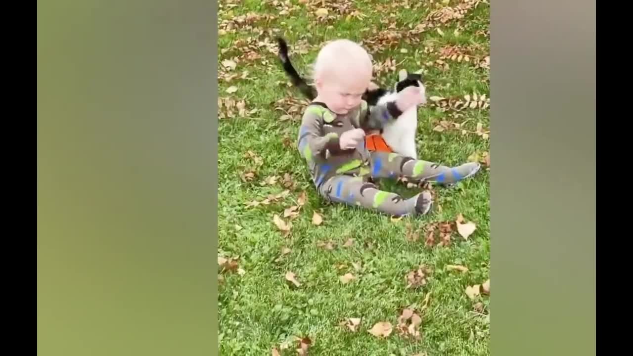 cat and baby together