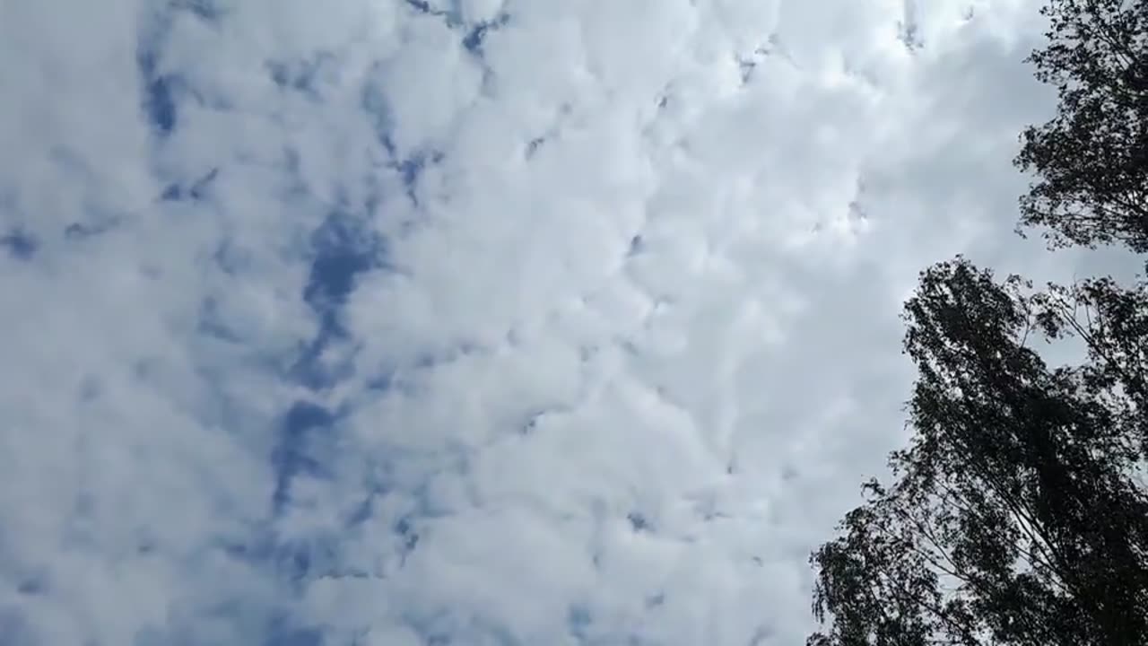 Himmel in Berlin am 11.05.2023 um 14:34 Uhr