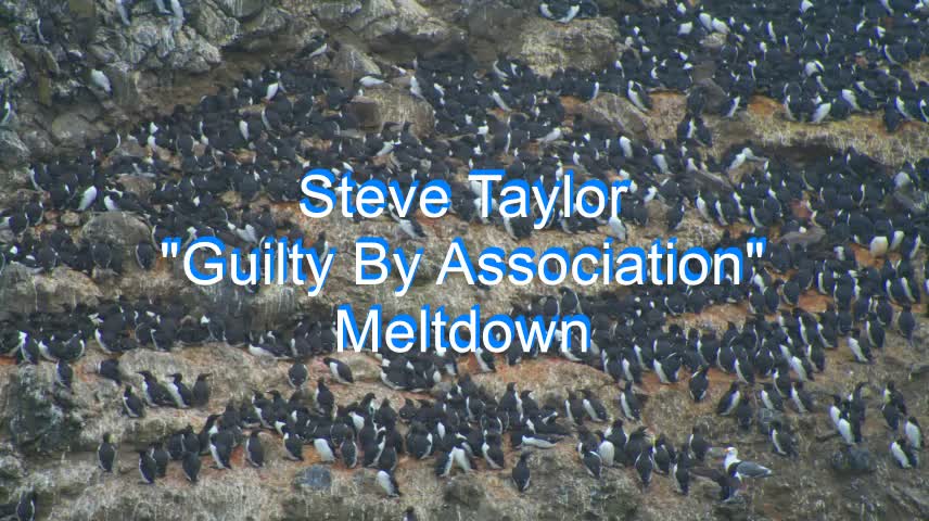 Steve Taylor - Guilty By Association #74