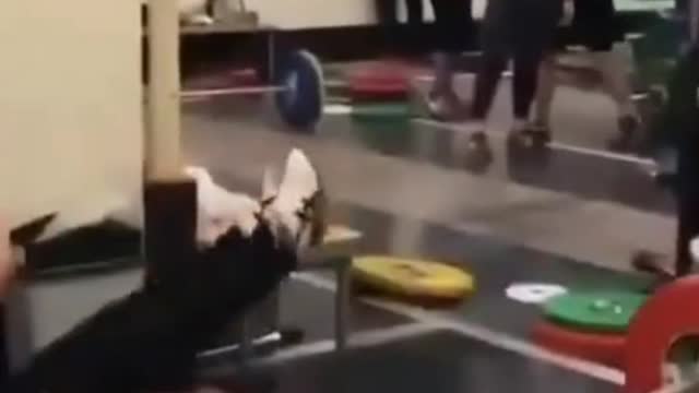 Gymfails