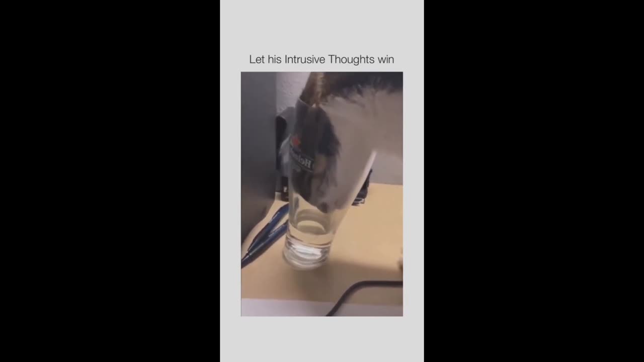 TRY NOT TO LAUGH IMPOSSIBLE CHALLENGE YOU CAN'T BEAT IT