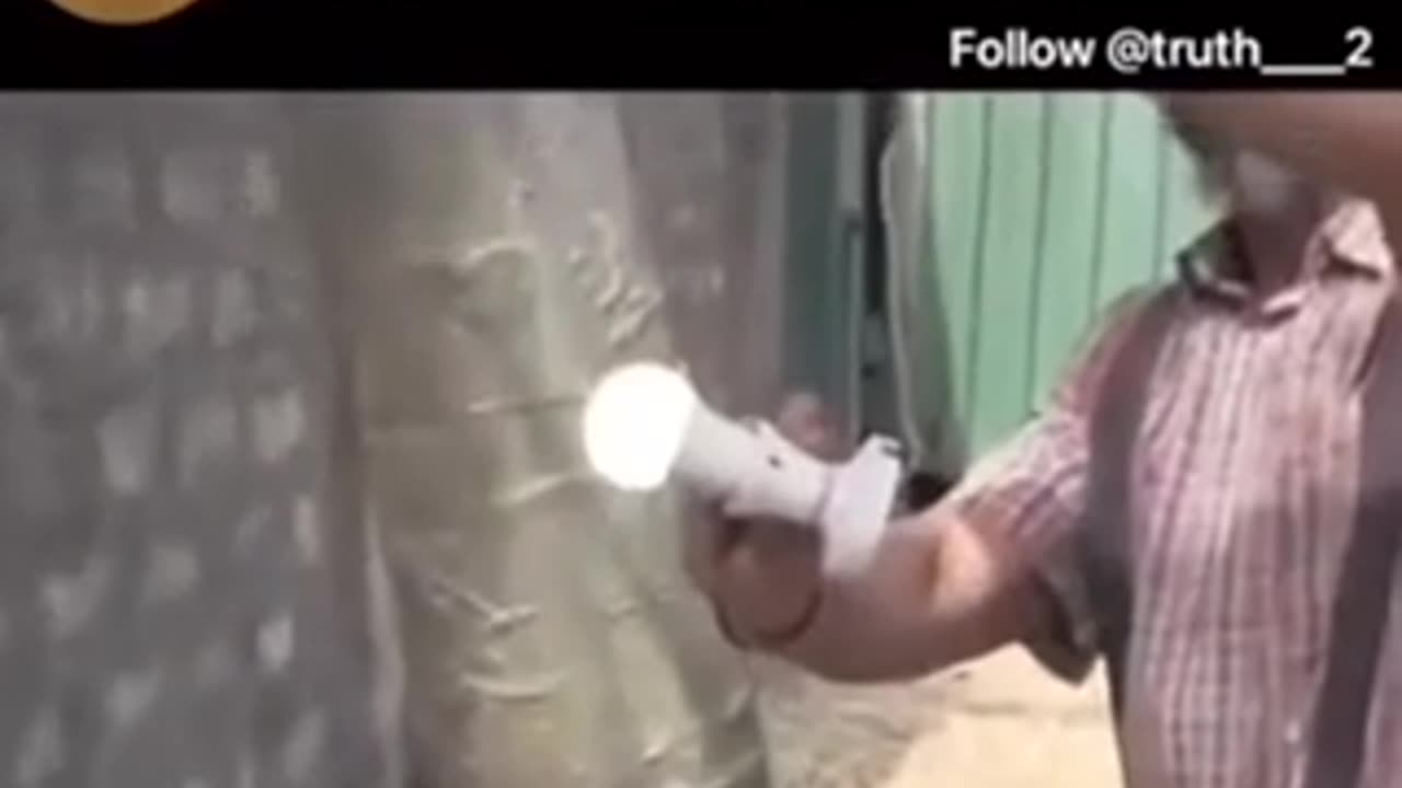 We have electricity in the trees?