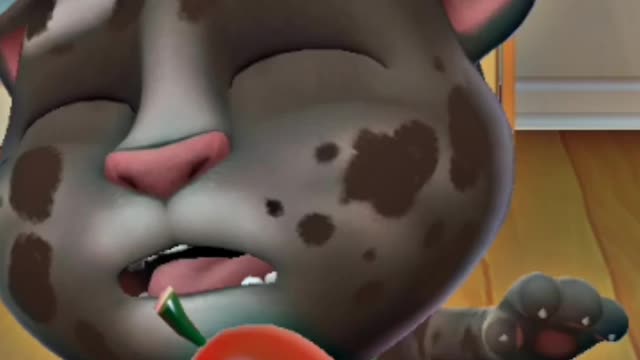 Tom 😂, funny shorts, funny shorts video