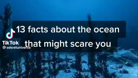 13 cool facts about the ocean