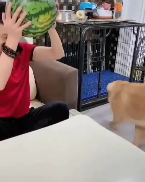 Watermelon or egg😂