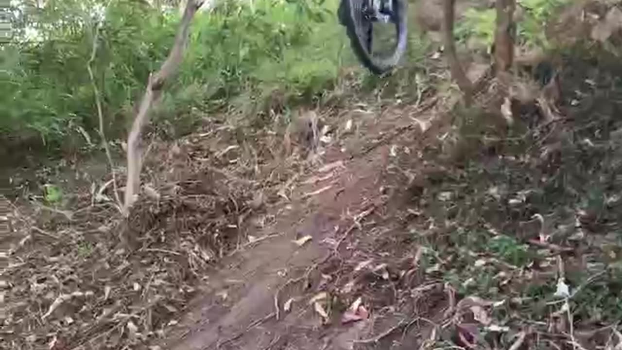 steep mtb trail