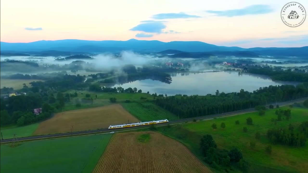 Forest Tranquility: Poland’s Hidden Nature Gems