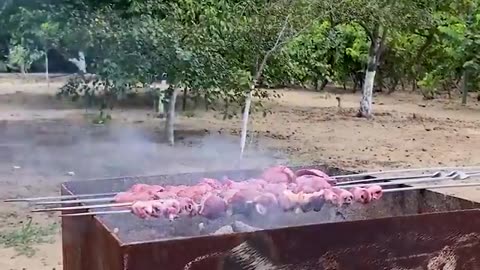 Cooking duck kabab on fire | relaxing Village cooking