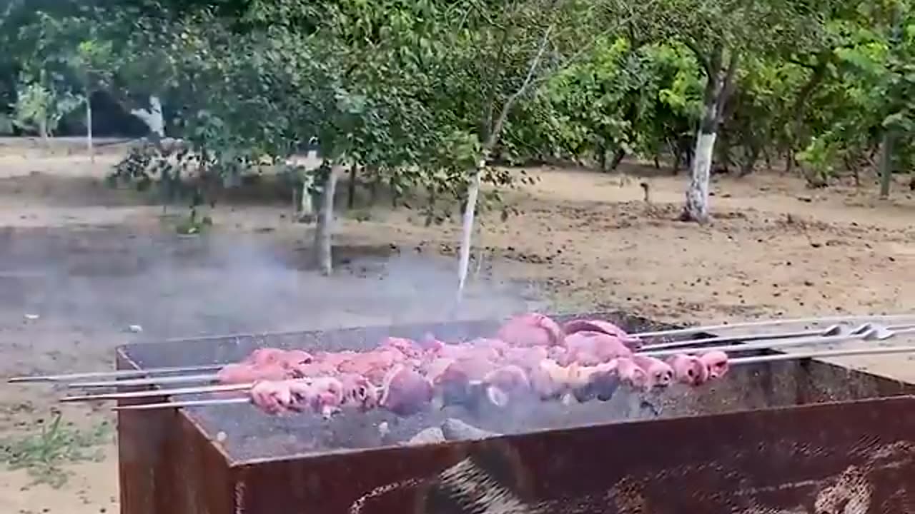 Cooking duck kabab on fire | relaxing Village cooking