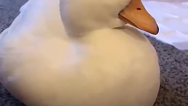 Like me in class