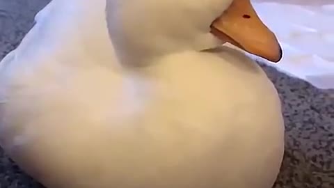 Like me in class