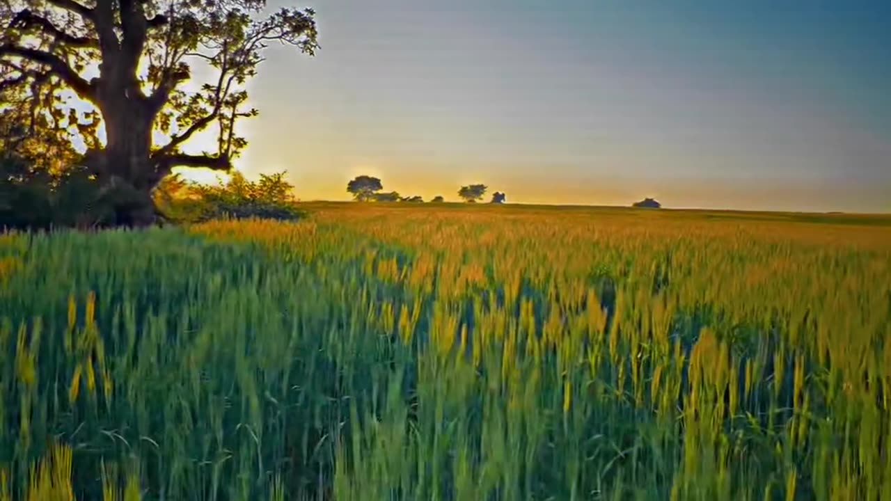 Farmer