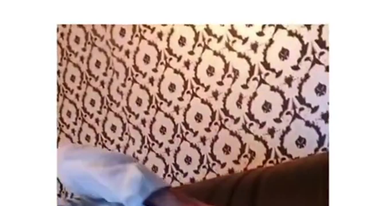 Nice videos