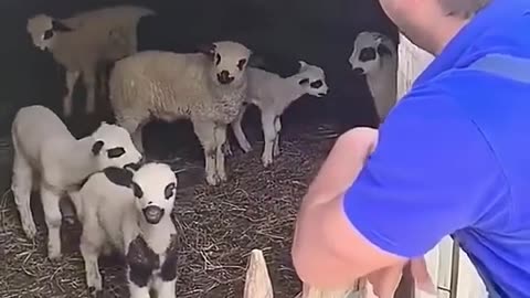 Copy Paste Work 😂
