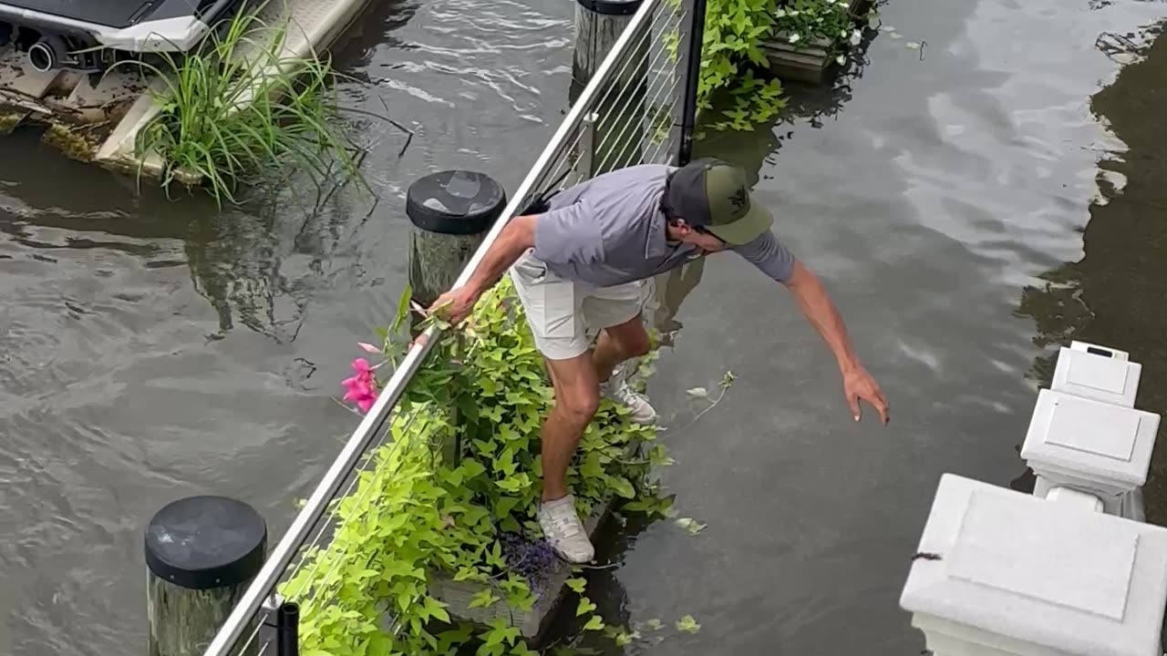 Hurricane Debby Turns Marina Into an Obstacle Course