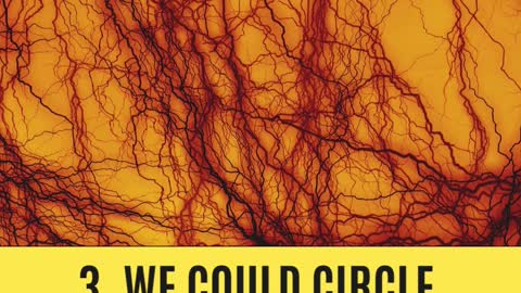 3 curiozities about Human body
