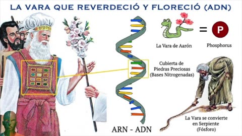 180. La Biblia a escala Cuántica - 2 El Arca simboliza al Nucleótido