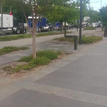 Canberra Freedom Convoy 2022 Truckies