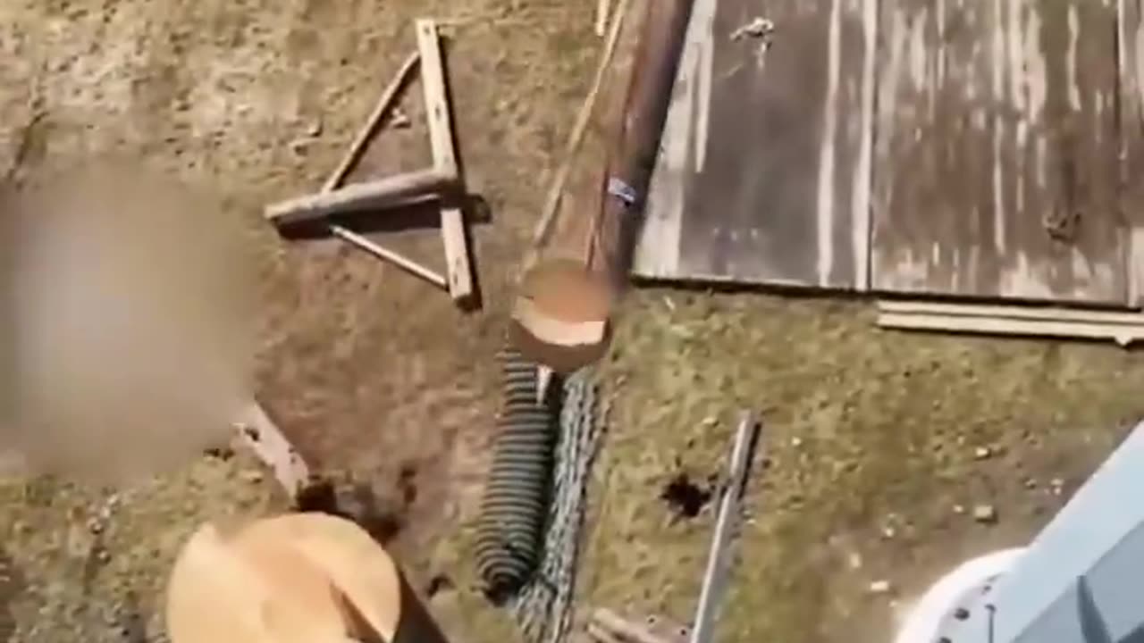 Fantastic... or almost