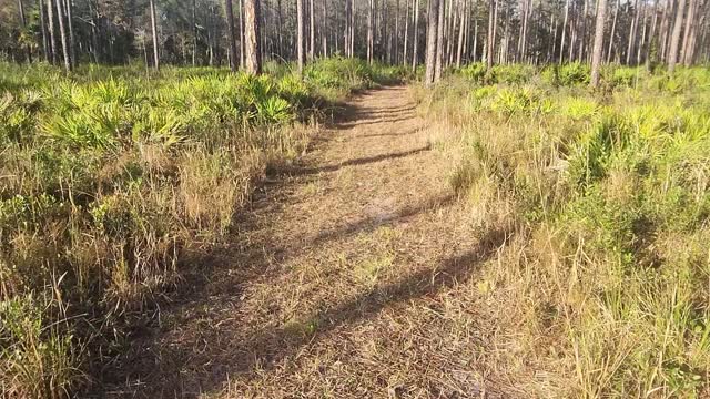 Suwannee & Cedar Keys National Wildlife Refuges on the Florida Gulf Coast, A MUST SEE!