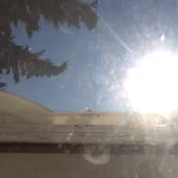 Sunrise in my back door camera