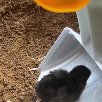 Funny baby reaction on the beach || #shorts