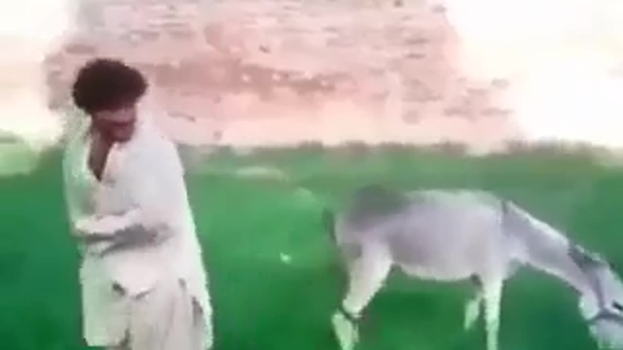 Is this so funny