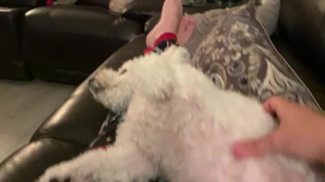 Cute baby loves her belly scratched