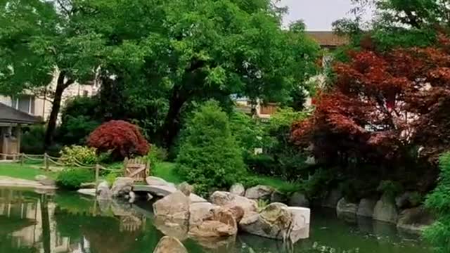 Beautiful Japanese garden