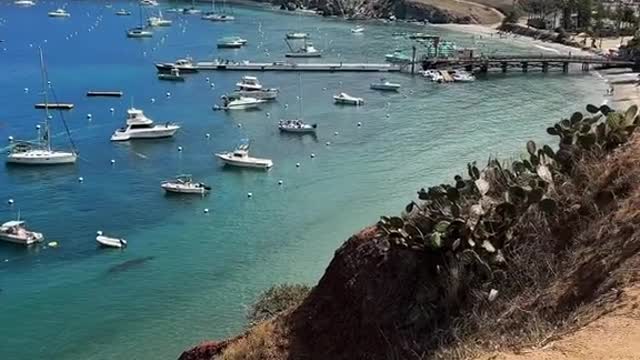 California bucket list experience