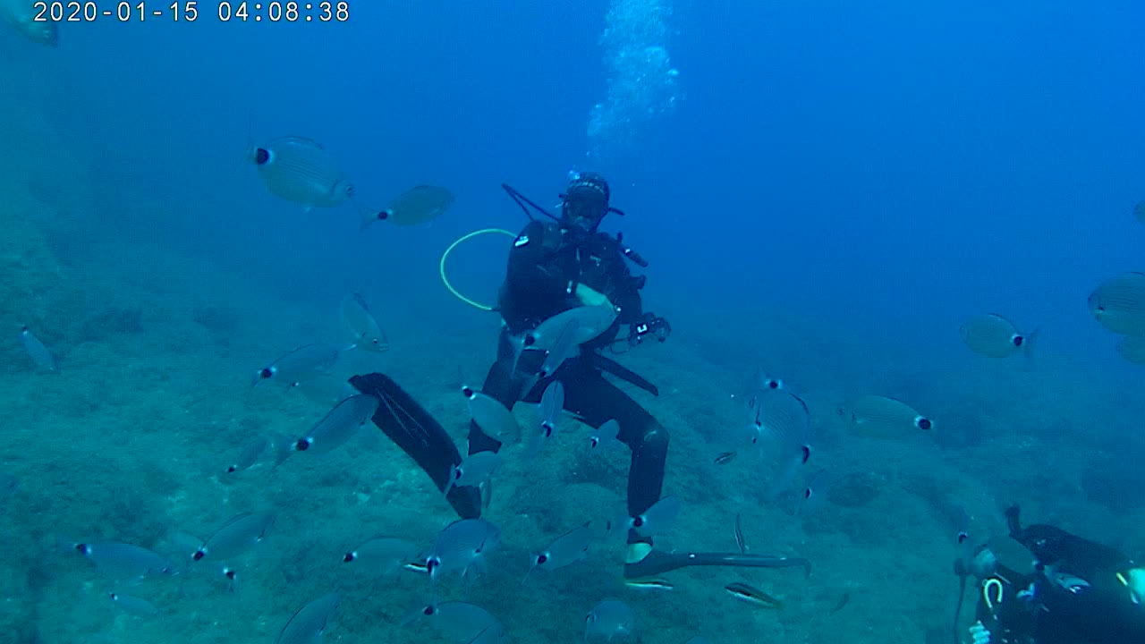 Diving Crete, Platanias