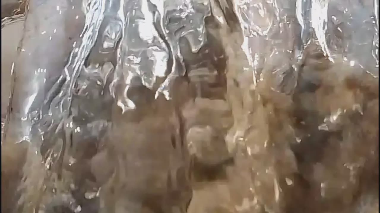 Fanny video