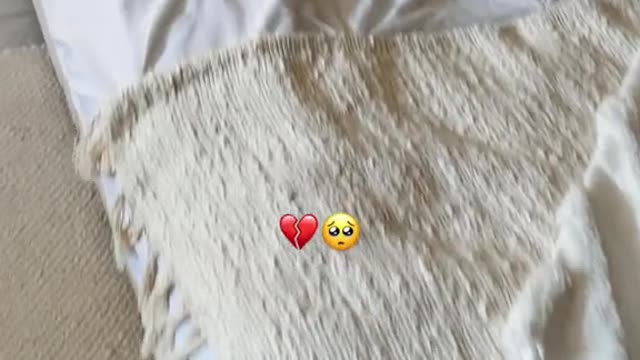 The last thread that