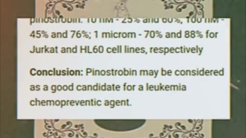 THE EASTERN WHITE PINE POTENTIAL THERAPEUTIC PROPERTIES