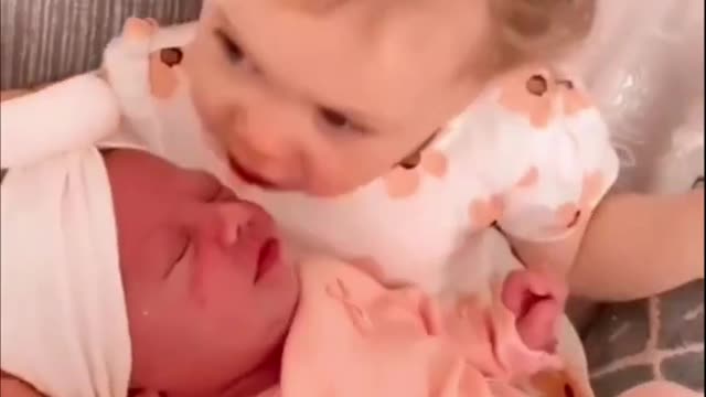 Cute Babies Compilation Video