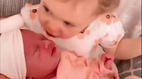 Cute Babies Compilation Video