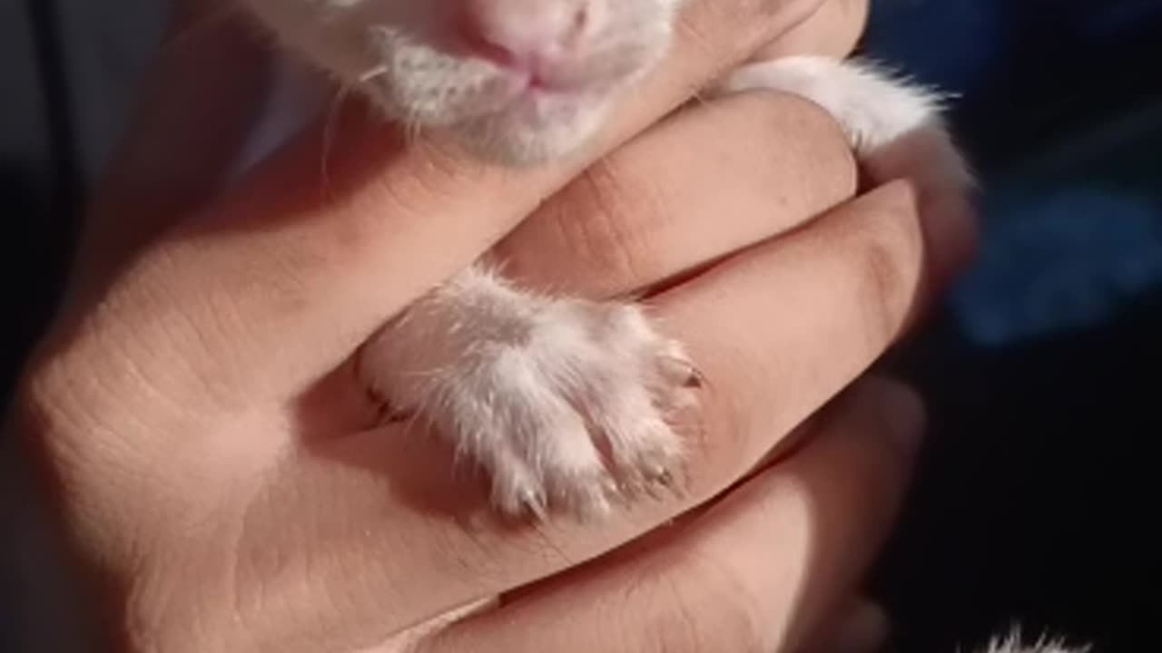 Such a beautiful eyes 😍