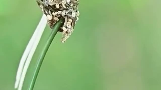 Parents who feed their children