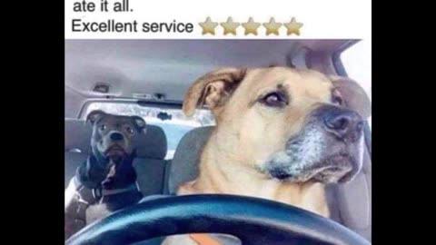 Random Memes 378