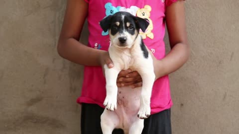 Portrait of a child holding a puppy