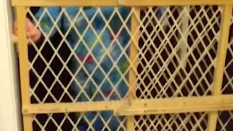 Best Funny Video Clips #shorts (156)